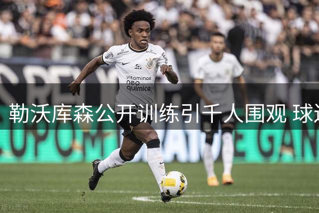 勒沃库森公开训练引千人围观 球迷苦候三小时求签名