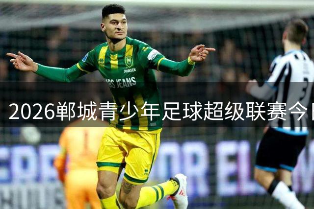 2026郸城青少年足球超级联赛今日盛大开幕 麒麟战队领衔出战